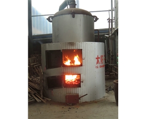 反烧式热水锅炉